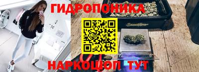 гидра Пенза
