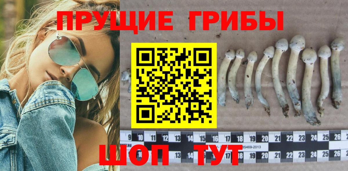 Псилоцибиновые грибы MAGIC MUSHROOMS  Вход с VPN  Саянск 